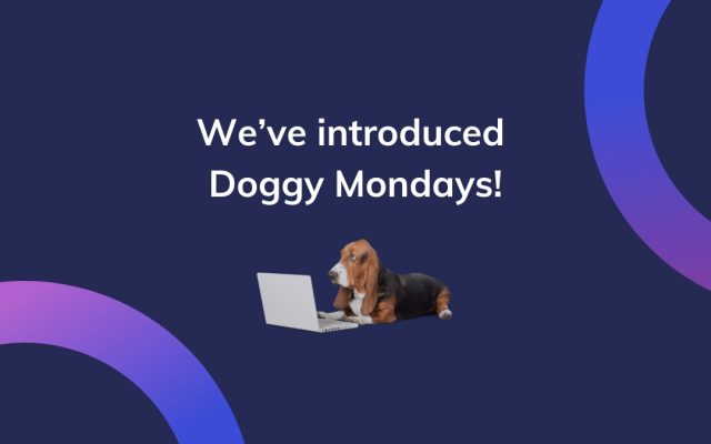 Doggy Mondays