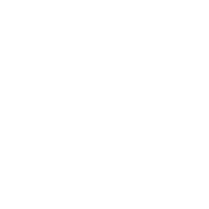 kingspan logo