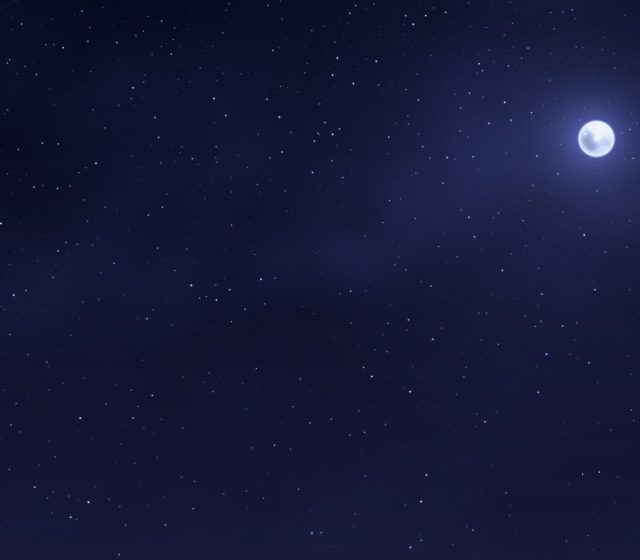 services page banner